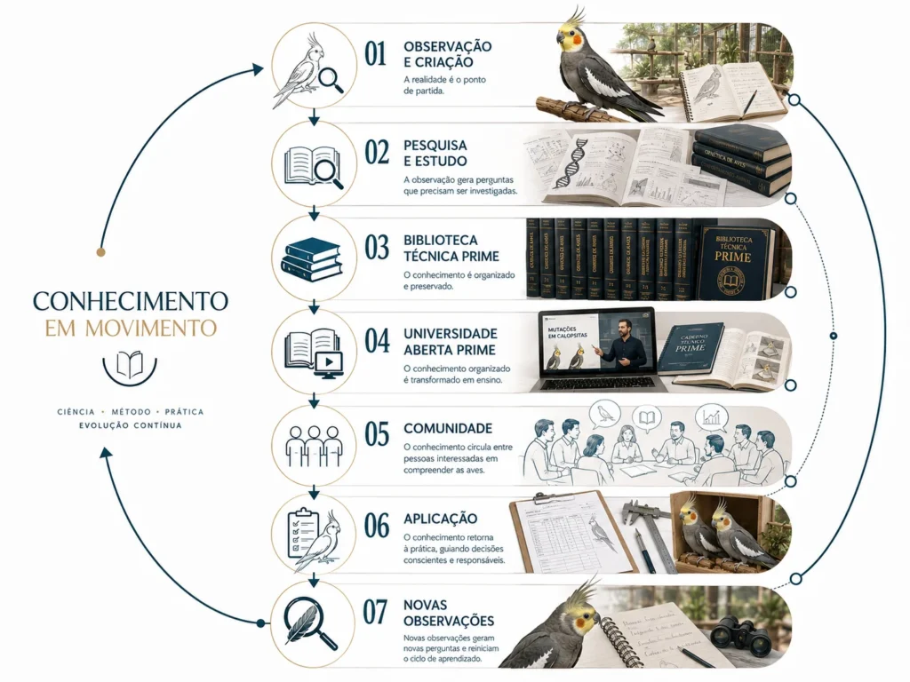 Fluxo do conhecimento na PRIME: observação e criação, pesquisa, Biblioteca Técnica PRIME, Universidade Aberta Prime, comunidade, aplicação e novas observações.