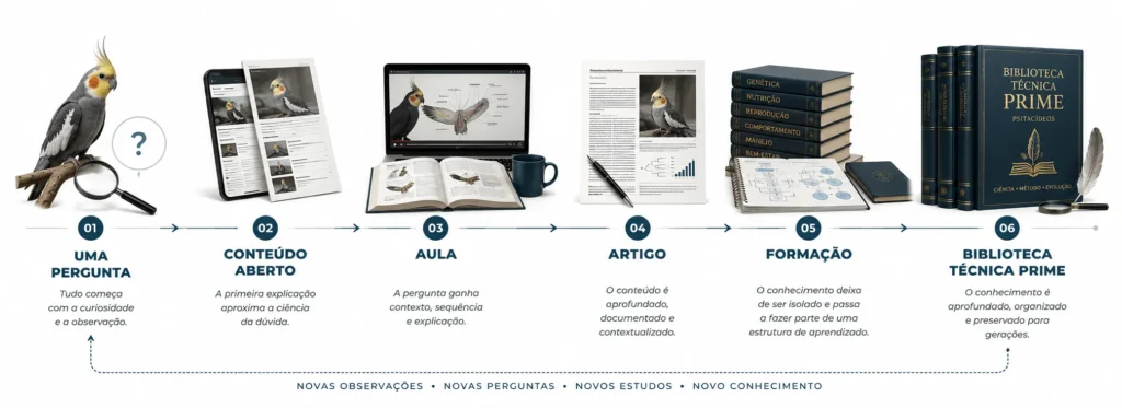 Jornada de aprofundamento do conhecimento: uma pergunta, conteúdo aberto, aula, artigo, formação e Biblioteca Técnica PRIME.