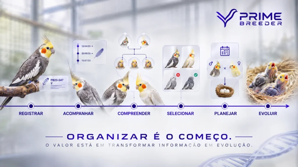 Jornada do criador no PRIME BREEDER: registrar, acompanhar, compreender, selecionar, planejar e evoluir