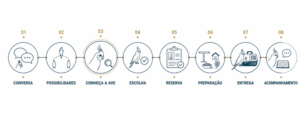 Jornada de aquisição responsável na PRIME: conversa, possibilidades, conhecer a ave, escolha, reserva, preparação, entrega e acompanhamento.